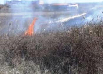 Πυρκαγιά σε χορτολιβαδική έκταση στην Κρυσταλλοπηγή Φλώρινας