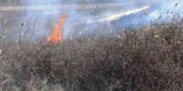 Πυρκαγιά σε χορτολιβαδική έκταση στην Κρυσταλλοπηγή Φλώρινας