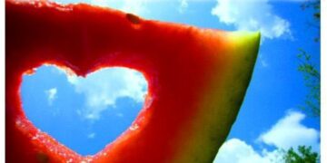 «Γέφυρα Ζωής»  25η Αιμοδοσία  του 2015