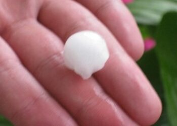 Παράδειγμα τα αντιχαλαζικά δίχτυα σε Πύργους Εορδαίας, Βελβεντό και Βεγορίτιδα (επίσημο δελτίο Τύπου του ΕΛ.ΓΑ.)