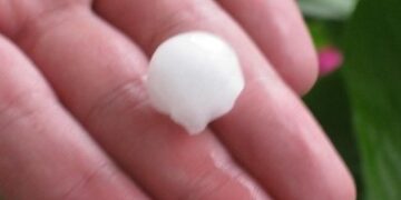 Παράδειγμα τα αντιχαλαζικά δίχτυα σε Πύργους Εορδαίας, Βελβεντό και Βεγορίτιδα (επίσημο δελτίο Τύπου του ΕΛ.ΓΑ.)