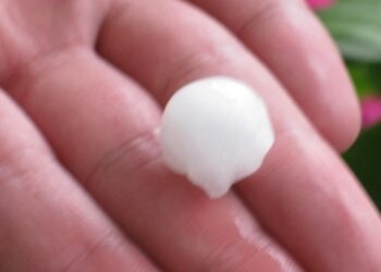 ΕΛΓΑ: Ενέκρινε 6 αιτήσεις αγροτών της Δυτικής Μακεδονίας για αντιχαζαλική και αντιβροχική προστασία