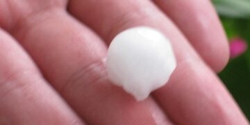 ΕΛΓΑ: Ενέκρινε 6 αιτήσεις αγροτών της Δυτικής Μακεδονίας για αντιχαζαλική και αντιβροχική προστασία