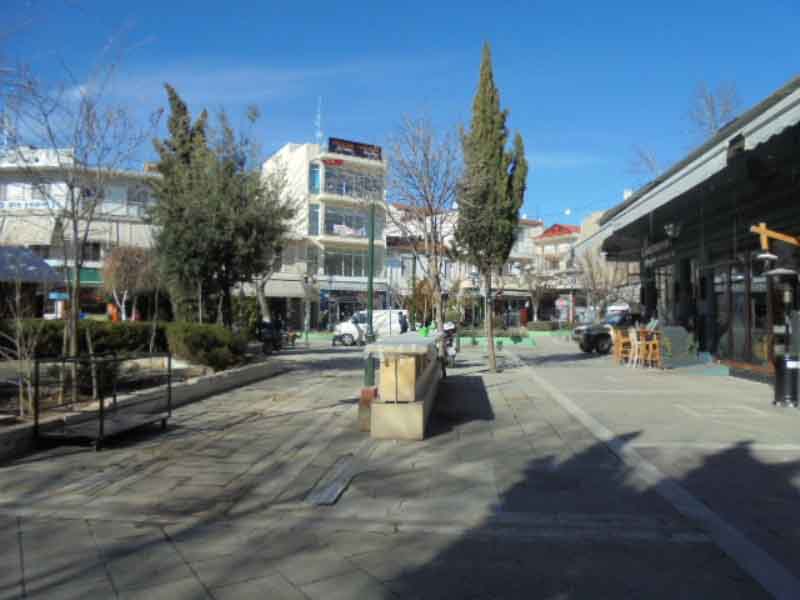 DSC00835