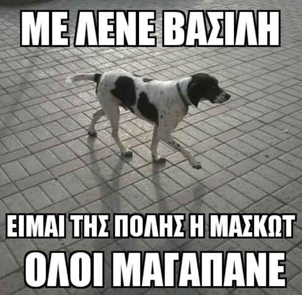 ZomboMeme12062016134155 12062016134155