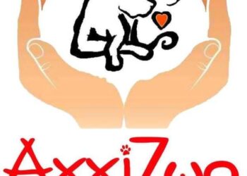 Συγκέντρωση διαμαρτυρίας έξω από το Δημαρχείο Κοζάνης από το Φιλοζωικό Σωματείο Κοζάνης “ΑΓΓΙΖΩΟ” – Στις 17/1