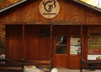 Ο ΑΡΚΤΟΥΡΟΣ δημιουργεί το Βαλκανικό Κέντρο Άγριων Σαρκοφάγων