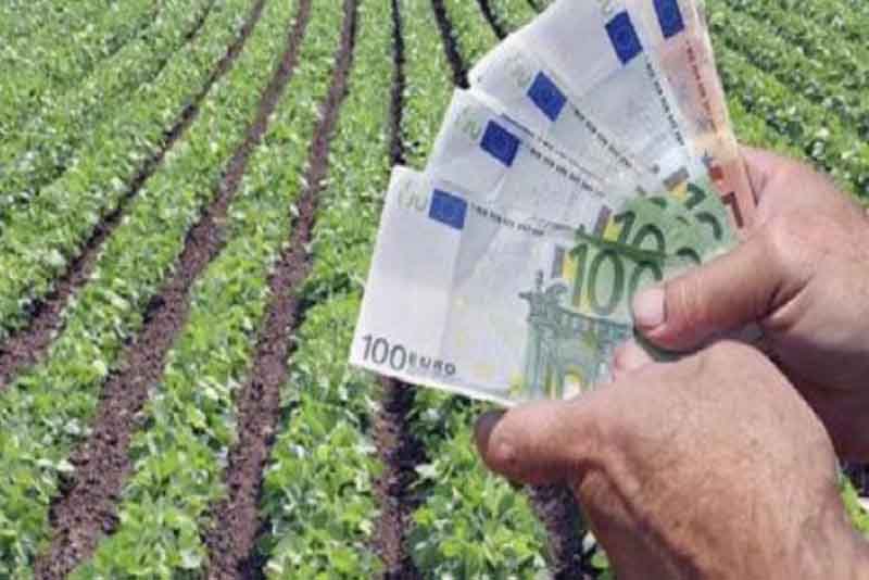 Σε δημόσια διαβούλευση το μέτρο στήριξης επενδύσεων στη μεταποίηση, εμπορία και ανάπτυξη αγροτικών προϊόντων