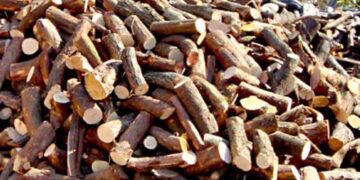 Δήμος Φλώρινας: Την Κυριακή η συλλογή κατακείμενων ξύλων στο λόφο του Αγ. Παντελεήμονα