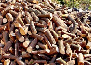 Δήμος Φλώρινας: Συλλογή ξύλων από δημότες στο λόφο Αγ. Παντελεήμονα