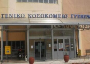 Η Πρόεδρος του συλλόγου εργαζομένων Νοσοκομείου Γρεβενών: «Ουδέποτε συμφώνησα στην μη μετεγκατάσταση της Αστυνομικής Διεύθυνσης Γρεβενών»