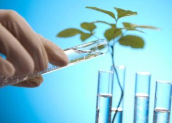 Προδημοσίευση 1ης προκήρυξης υποτροφιών ΕΛΙΔΕΚ για υποψήφιους διδάκτορες