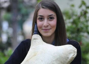 Η 17χρονη Ειρήνη Σαχταρίδου που παίζει τουλούμ’! – Γράφει ο Βασίλης Καρυοφυλλίδης