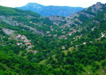 Οικολογική Κίνηση Κοζάνης: Σιδεροκέφαλος ο Ορειβατικός Βοΐου