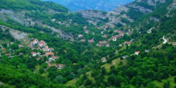 Οικολογική Κίνηση Κοζάνης: Σιδεροκέφαλος ο Ορειβατικός Βοΐου