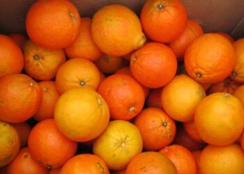 Διανομή προϊόντων στους ωφελούμενους του προγράμματος ΤΕΒΑ στα Γρεβενά