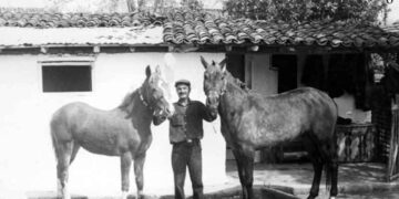 Ο ρόλος του Aλόγου στα γεωργοκτηνοτροφικά Καϊλάρια-Πτολεμαϊδα το 1922 και..  – Από την στήλη του κ. Γ. Καζαντζή στον Παλμό 09/11/2016