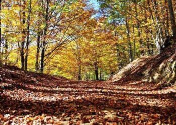 Σ.Ε.Ο. Κοζάνης: Εξόρμηση στο Βίτσι, την Κυριακή