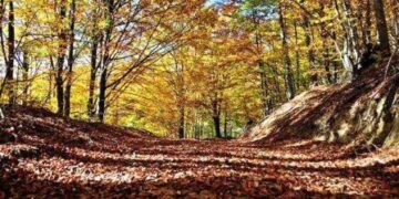 Σ.Ε.Ο. Κοζάνης: Εξόρμηση στο Βίτσι, την Κυριακή