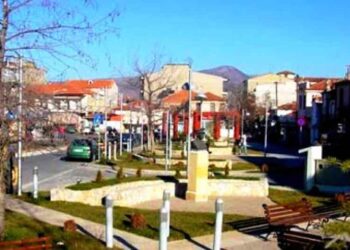 Νέο ντου των Ελεγκτικών Οργάνων του ΙΚΑ στα καταστήματα του Αμυνταίου… μοίρασαν πρόστιμα!