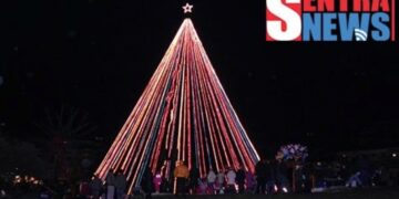 Πραγματοποιήθηκε το άναμμα του Μεγάλου Δένδρου στην Καστοριά