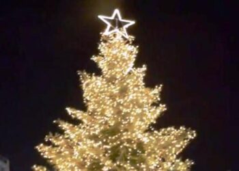 Στις 17 Δεκεμβρίου η φωταγώγηση του χριστουγεννιάτικου δέντρου του Δήμου Εορδαίας 
