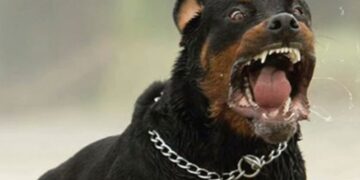 ΚΟΖΑΝΗ: Δέσμευση της περιουσίας των ιδιοκτητών των rodvailer και αποζημίωση τουλάχιστον 150.000 ευρώ για το φριχτό θάνατο του 5χρονου Στάθη