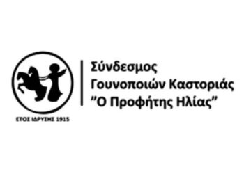 Ο Σύνδεσμος Γουνοποιών Καστοριάς υποστηρίζει την προσπάθεια της Α. Δίτσιου για εύρεση δοτών μυελού των οστών