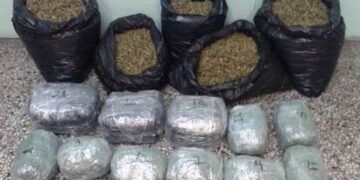 Συνελήφθησαν 4 άτομα σε περιοχές της Καστοριάς για διακίνηση 37 κιλών ακατέργαστης κάνναβης