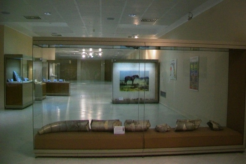 Aυτή την Κυριακή πάμε μουσείο!