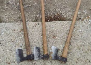 Σύλληψη αλλοδαπού για λαθροϋλοτομία στους Κομνηνάδες Καστοριάς