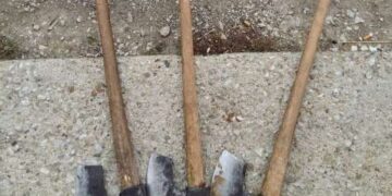 Σύλληψη αλλοδαπού για λαθροϋλοτομία στους Κομνηνάδες Καστοριάς