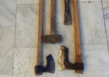 Σύλληψη δύο αλλοδαπών για λαθροϋλοτομία σε περιοχή της Καστοριάς