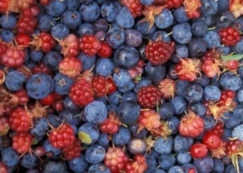 Τα βατόμουρα της Αριστεράς και η ναφθαλίνη της ΝΔ- Όσκαρ αποτυχημένων δηλώσεων και προβλέψεων… Γράφει ο Ιωάννης Τσιτσόπουλος