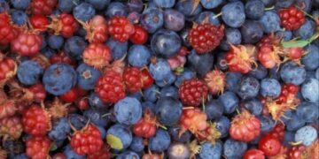 Τα βατόμουρα της Αριστεράς και η ναφθαλίνη της ΝΔ- Όσκαρ αποτυχημένων δηλώσεων και προβλέψεων… Γράφει ο Ιωάννης Τσιτσόπουλος