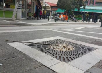 ΚΡΙΜΑ ΓΙΑ ΤΟΝ ΠΟΛΙΤΙΣΜΟ ΜΑΣ… Σπασμένο δεντρακι σε κεντρικό δρομο της Πτολεμαΐδας