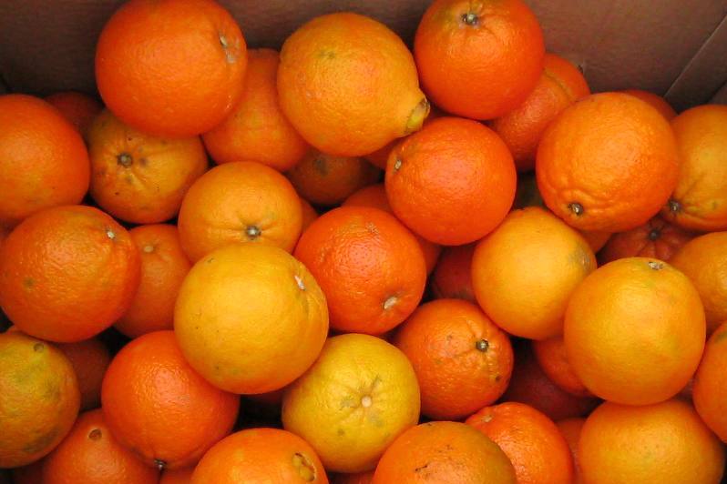 Δωρεάν διανομή πορτοκαλιών από το Δήμο Κοζάνης