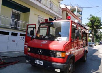 Κάηκαν 4 ζώα σε πυρκαγιά στο Αμμοχώρι  Φλώρινας