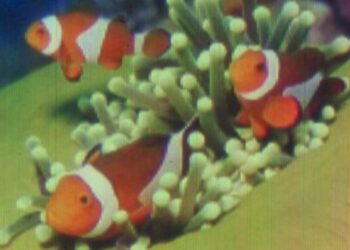 Τέχνο-news… Aπό την εφημερίδα του 5ου Γυμνασίου