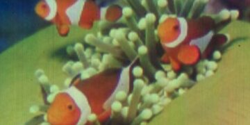 Τέχνο-news… Aπό την εφημερίδα του 5ου Γυμνασίου