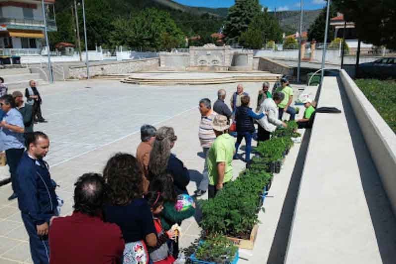 Μαζική συμμετοχή στη γιορτή παραδοσιακών σπόρων στην Ξηρολίμνη