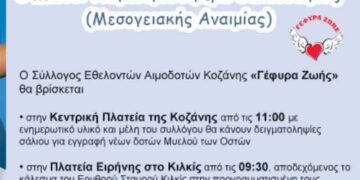 8 Μαΐου: Παγκόσμια Ημέρα Θαλασσαιμίας (Μεσογειακής Αναιμίας)