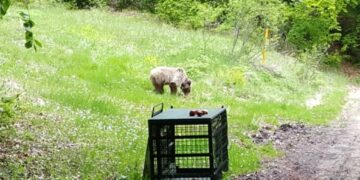 Ο Πάτρικ «επισκέφθηκε» το Καταφύγιο για να μείνει!