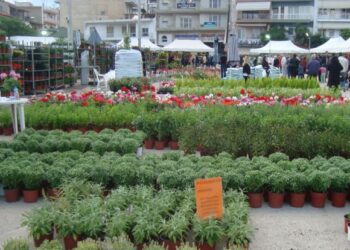 Δείτε το πρόγραμμα εκδηλώσεων της 18ης Ανθοκομικής Έκθεσης του Δήμου Εορδαίας