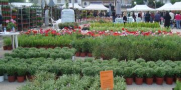 Δείτε το πρόγραμμα εκδηλώσεων της 18ης Ανθοκομικής Έκθεσης του Δήμου Εορδαίας