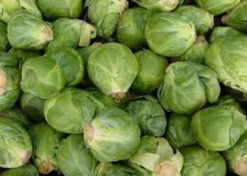 Δωρεάν διανομή οπωρολαχανικών στα Γρεβενά – Μέσω του προγράμματος ΤΕΒΑ