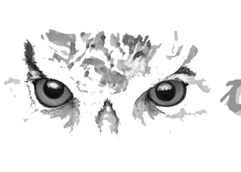 2016: Δίσεκτο έτος…  – Aπό την εφημερίδα του 5ου Γυμνασίου