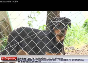 Η αντιδήμαρχος Περιβάλλοντος Ε. Τασοπούλου εξηγεί τις αποφάσεις των επιτροπών για τα 8 ροτβάιλερ- «Η εκπρόσωπος του φιλοζωϊκού της Πτολεμαϊδας είπε πως ήταν φυσιολογική η αντίδραση των σκυλιών και πρότεινε την υιοθεσία τους»-Τι είπε η εκπρόσωπος του «Αγγίζωο»-Τι θα γίνει με τα σκυλιά-Βίντεο