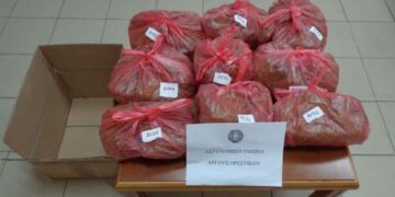 Καστοριά: Κατασχέθηκαν πάνω από 9 κιλά αδασμολόγητου καπνού – Σύλληψη 41χρονου