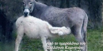 Η μητρική τροφή στο ζωικό βασίλειο , στο Μεγαλείο της! Από την στήλη του κ. Γ. Καζαντζή στον Παλμό 08/06/2016